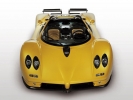 Pagani Zonda Roadster: вид спереди (желтый)